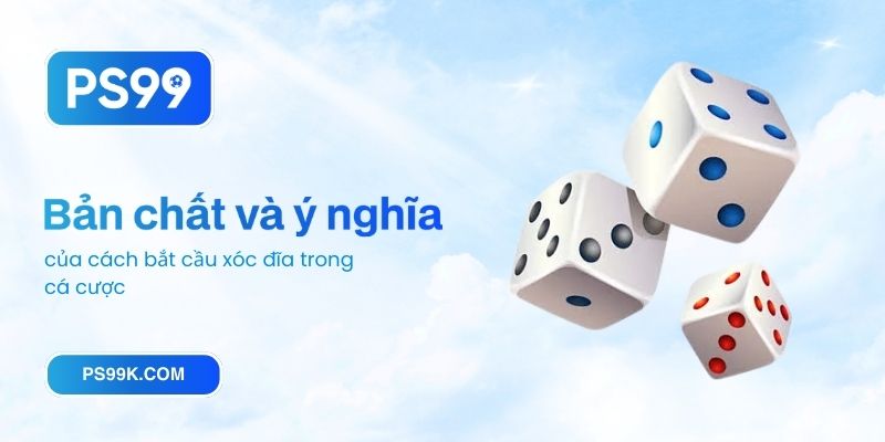 Bản chất và ý nghĩa của cách bắt cầu xóc đĩa trong cá cược